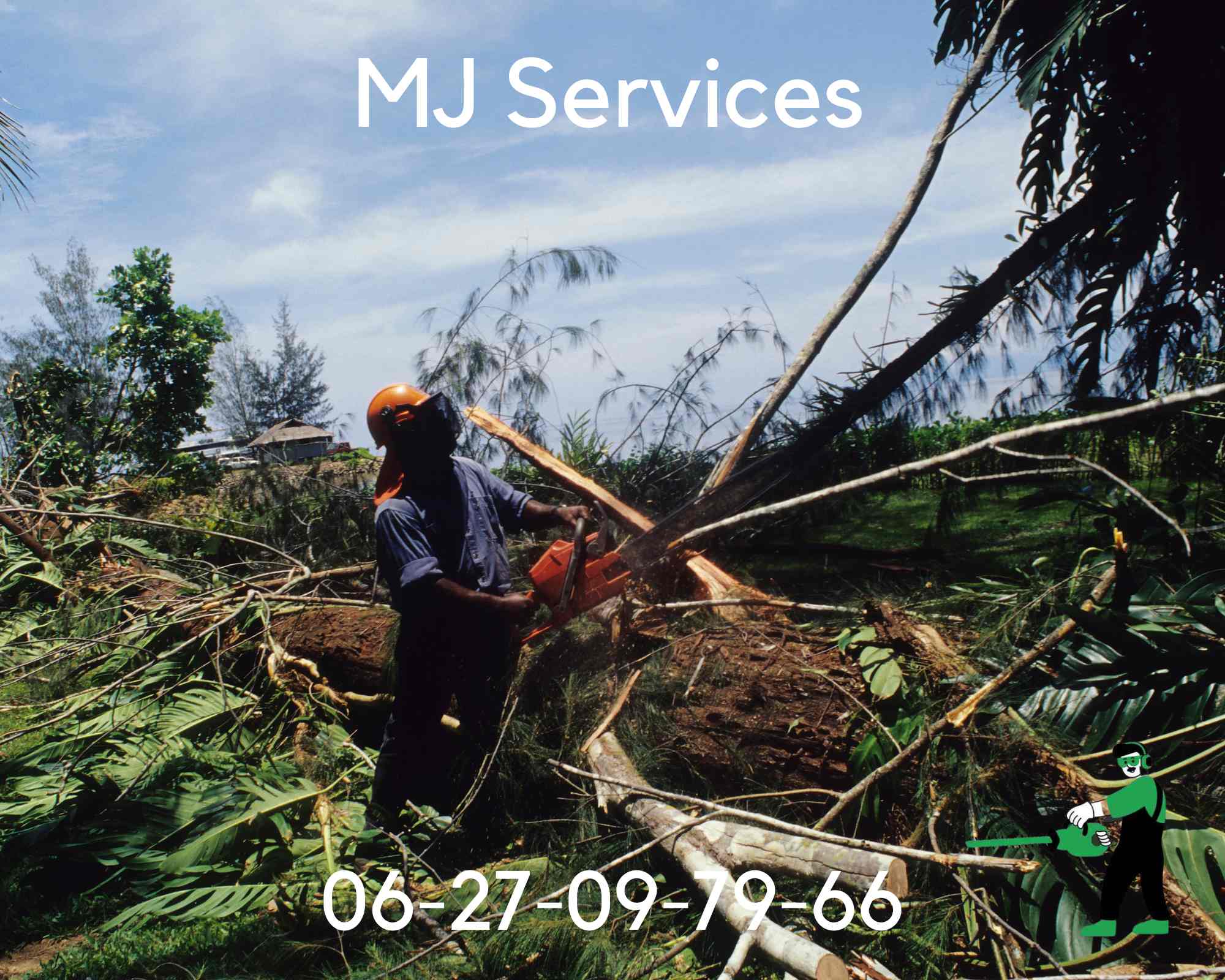 Image d'un arbre majestueux lors de l'abattage par MJ Services Paysagiste à Aix-en-Provence.